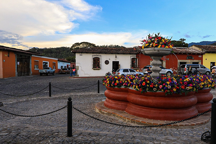 Ruta de las Flores