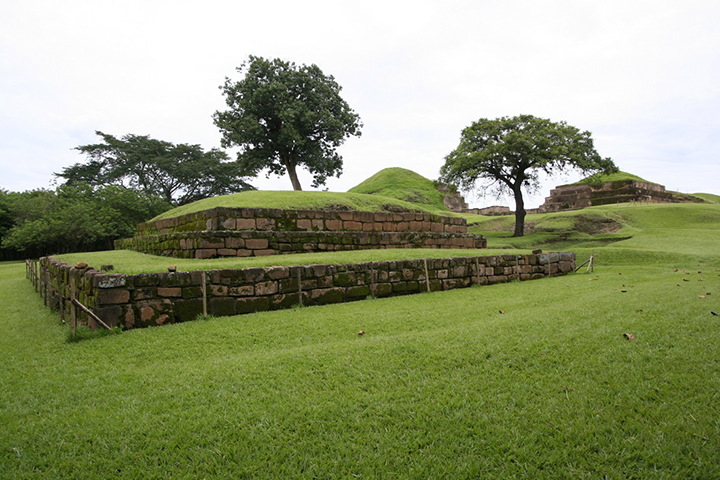 Imagen 2